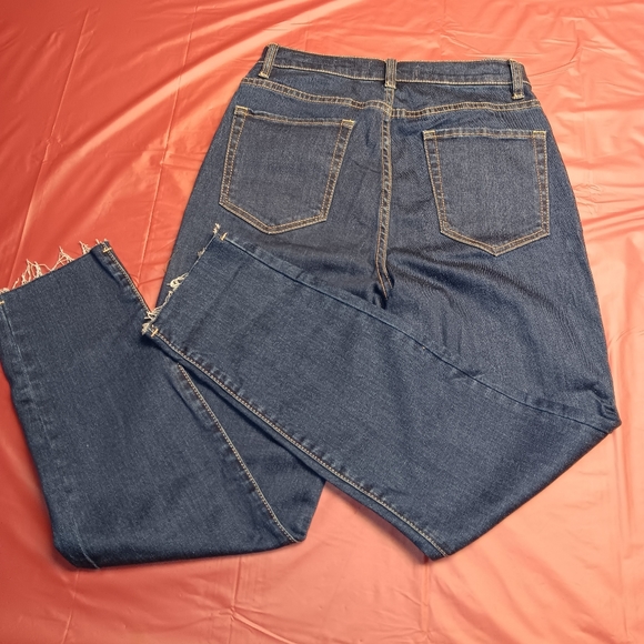 Pac Sun Denim Los Angeles Vintage Icon sz27 w/High Rise & Frayed Hems E.U.C. - Picture 3 of 10